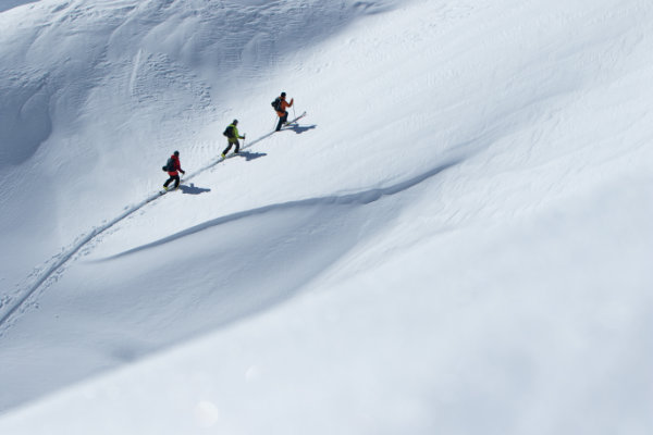 Drei Wintersportler steigen mit hochwertigen Skiern durch tiefen Schnee – Premium Ski für sportliche Alpin- und Tourenabenteuer.